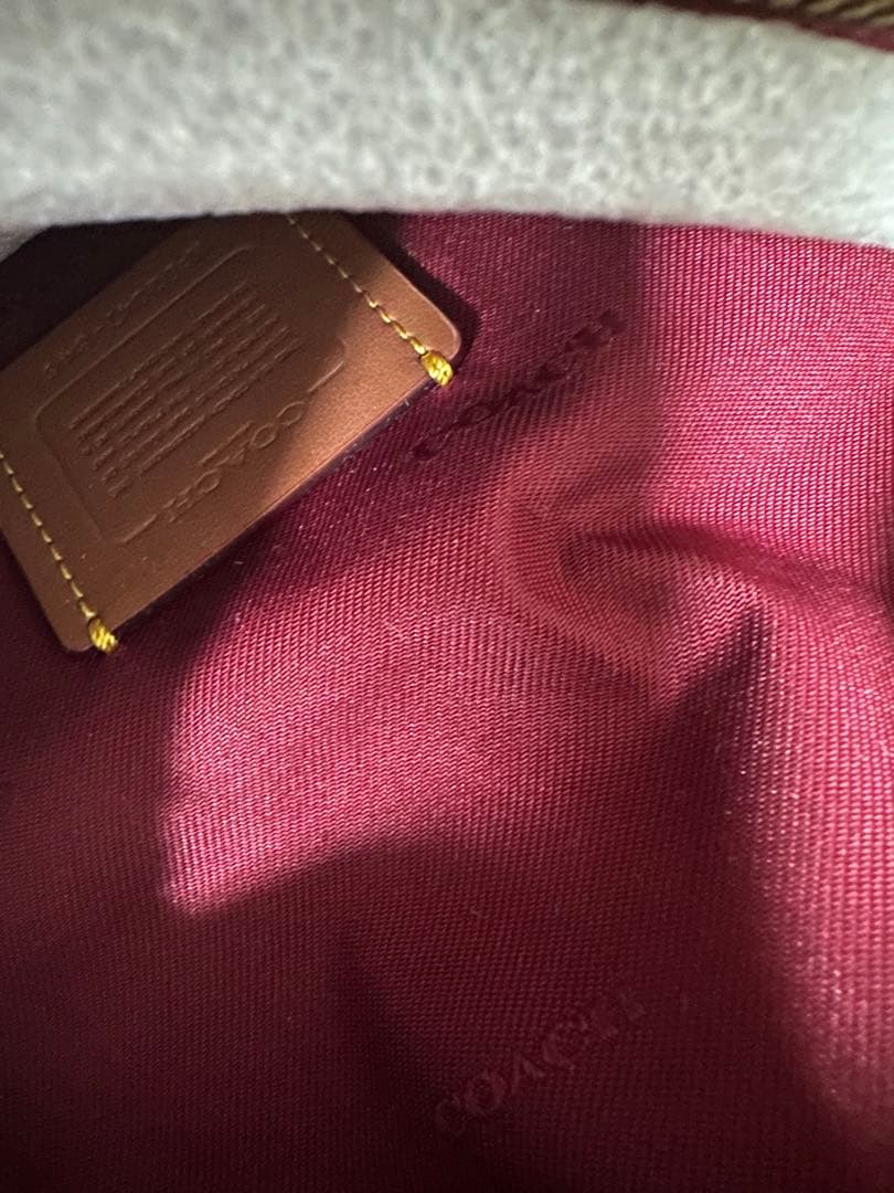 バッグ Coach belt bag Rank SA~A