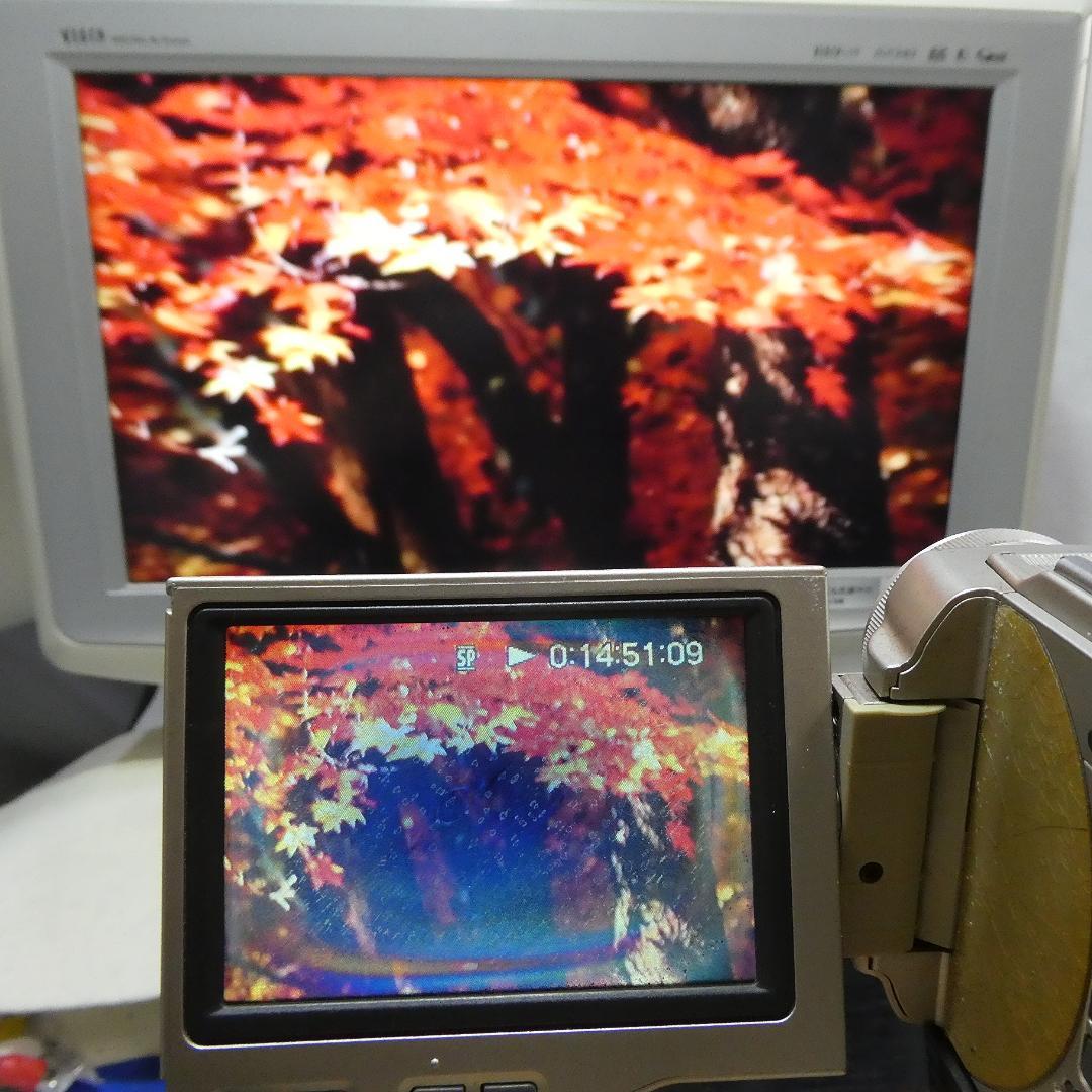 ソニー DCR-TRV10【動作品 】 MiniDVビデオカメラ　ダビングに最適