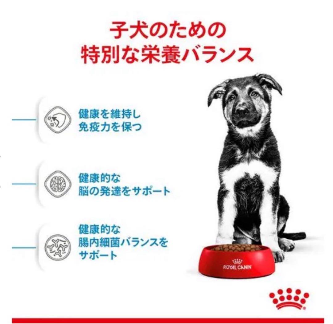 ahirumusicさま専用