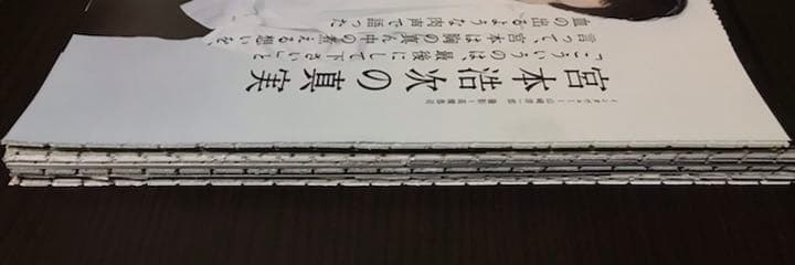 ◆切り抜きセット◆宮本浩次 エレファントカシマシ　１８８ページ