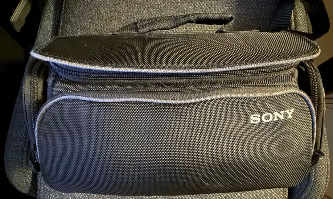 ビデオカメラ SONY Handycam FDR-AX100 4K