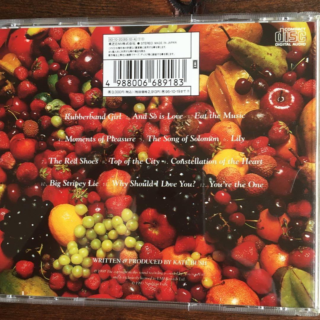 ケイト・ブッシュKate Bush / レッド・シューズ 日本版(廃盤　レア)