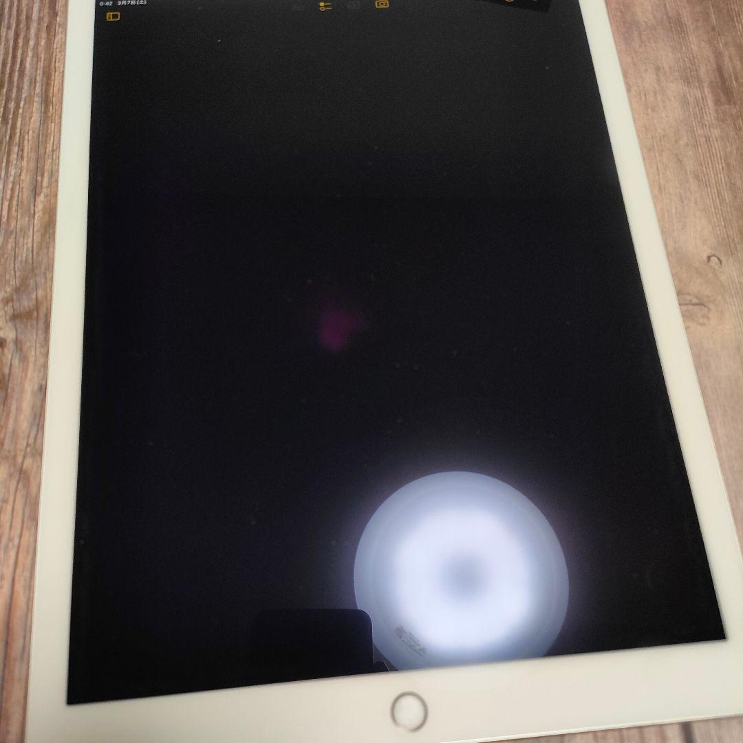 iPadPro 12.9インチ 64GB 第2世代 SIMフリー 超美品