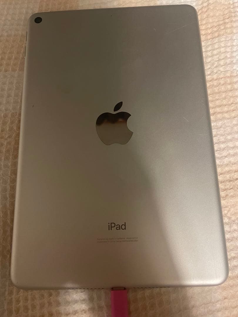 iPad本体 Apple iPad mini5 16gb Wi-Fi