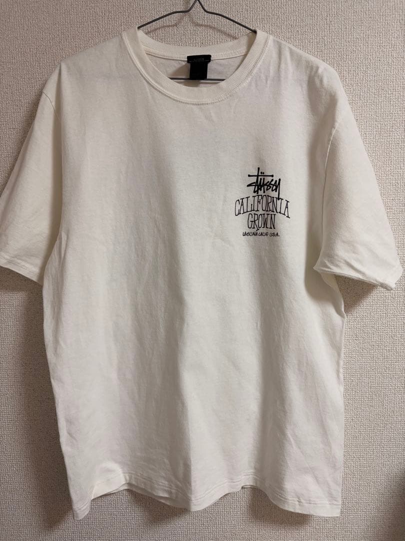 リ*ィ様 STUSSY CALIFORNIA GROWN TEE PIGMENT