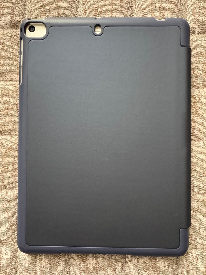 iPad mini5 （2019) 64 GB 4G セルラーモデル