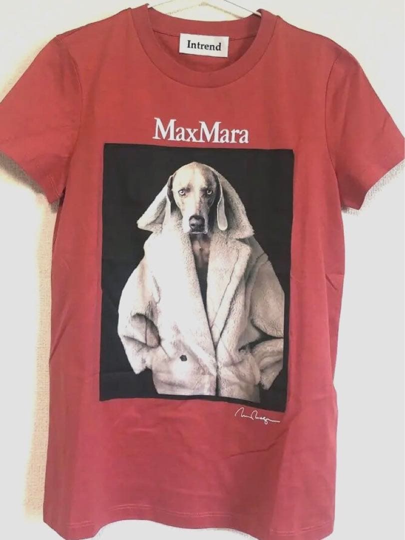 Intrend(MaxMaraアウトレット) 犬プリント Tシャツ XSサイズ