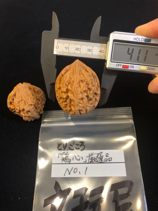 遊び胡桃 厳選品 野生 鶏心（とりごころ）No.1 くるみ 趣味 コレクション
