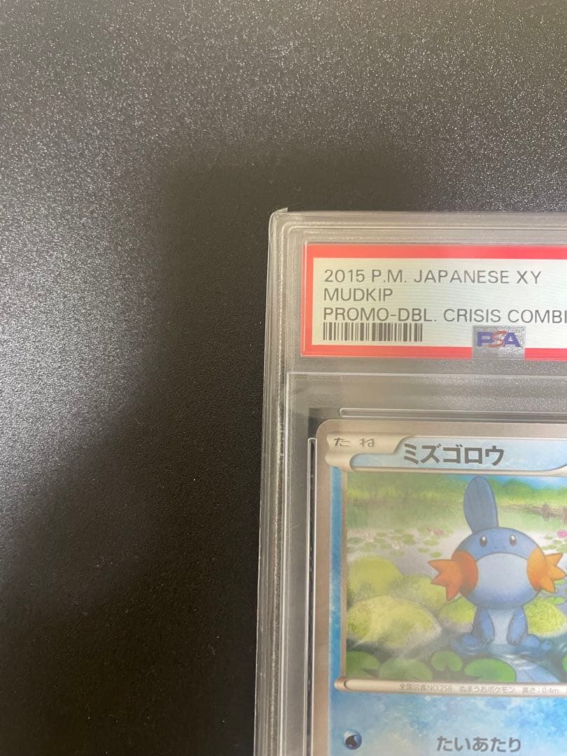 ミズゴロウ XY-P 109 PSA10 ダブルクライシスプロモ