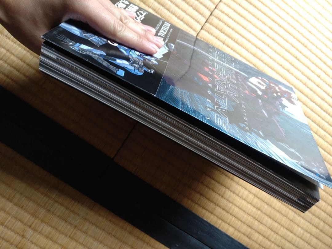 マブラヴオルタネイティヴ公式メカ設定資料集