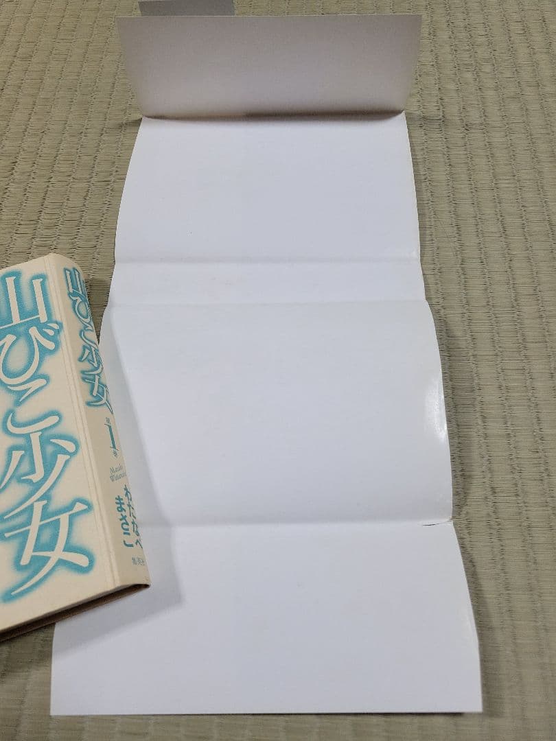 わたなべまさこ名作集 「山びこ少女」全2巻セット 愛蔵版　ハードカバー　帯付き