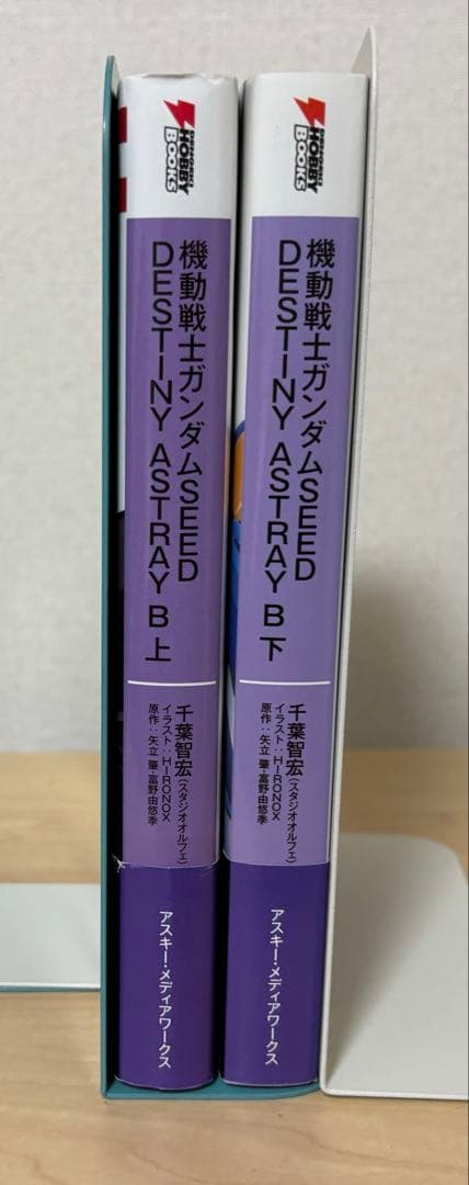 機動戦士ガンダムSEED DESTINY ASTRAY B 上下巻セット