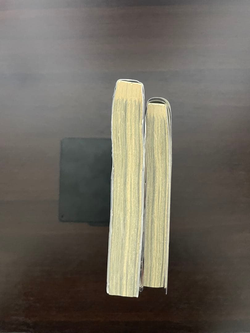 ヴィンランド・サガ 1巻 初版 2冊セット