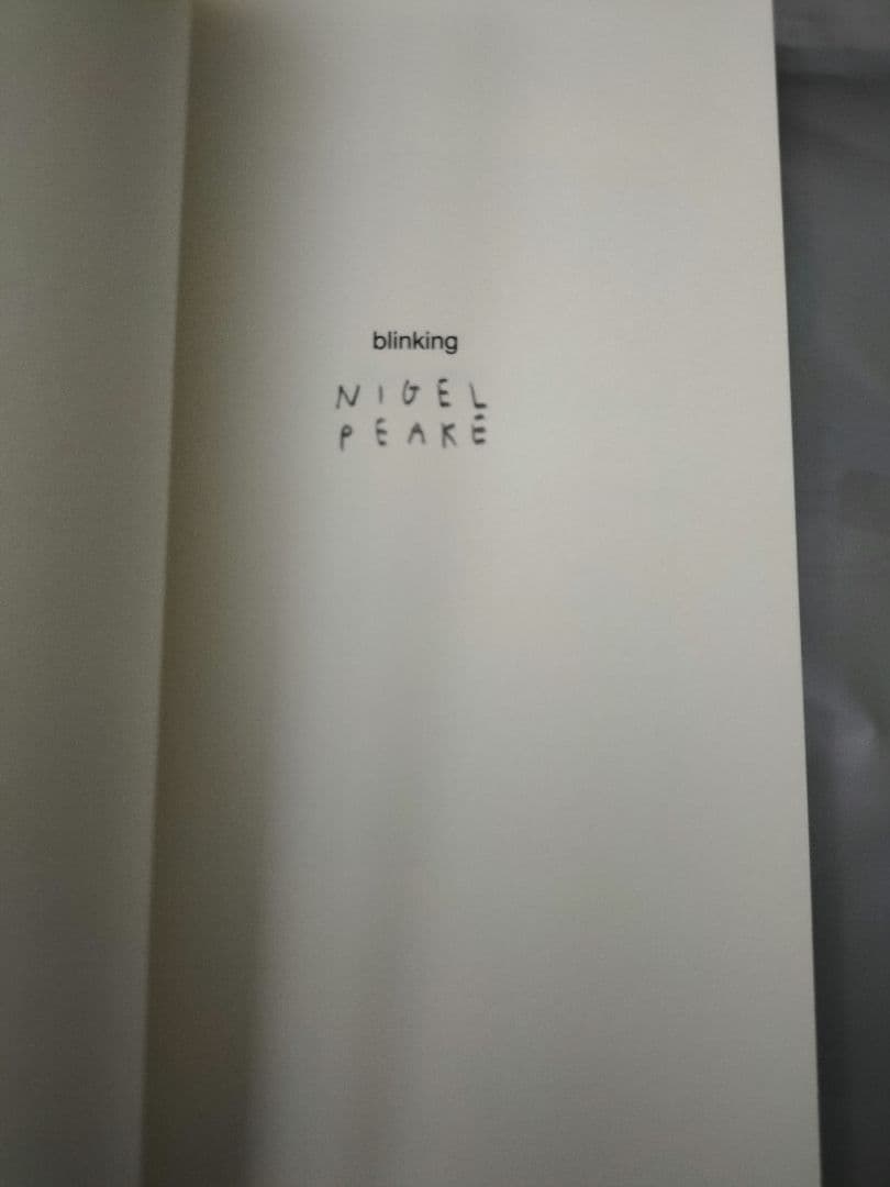 ナイジェル・ピーク　nigel peake　blinking　サイン