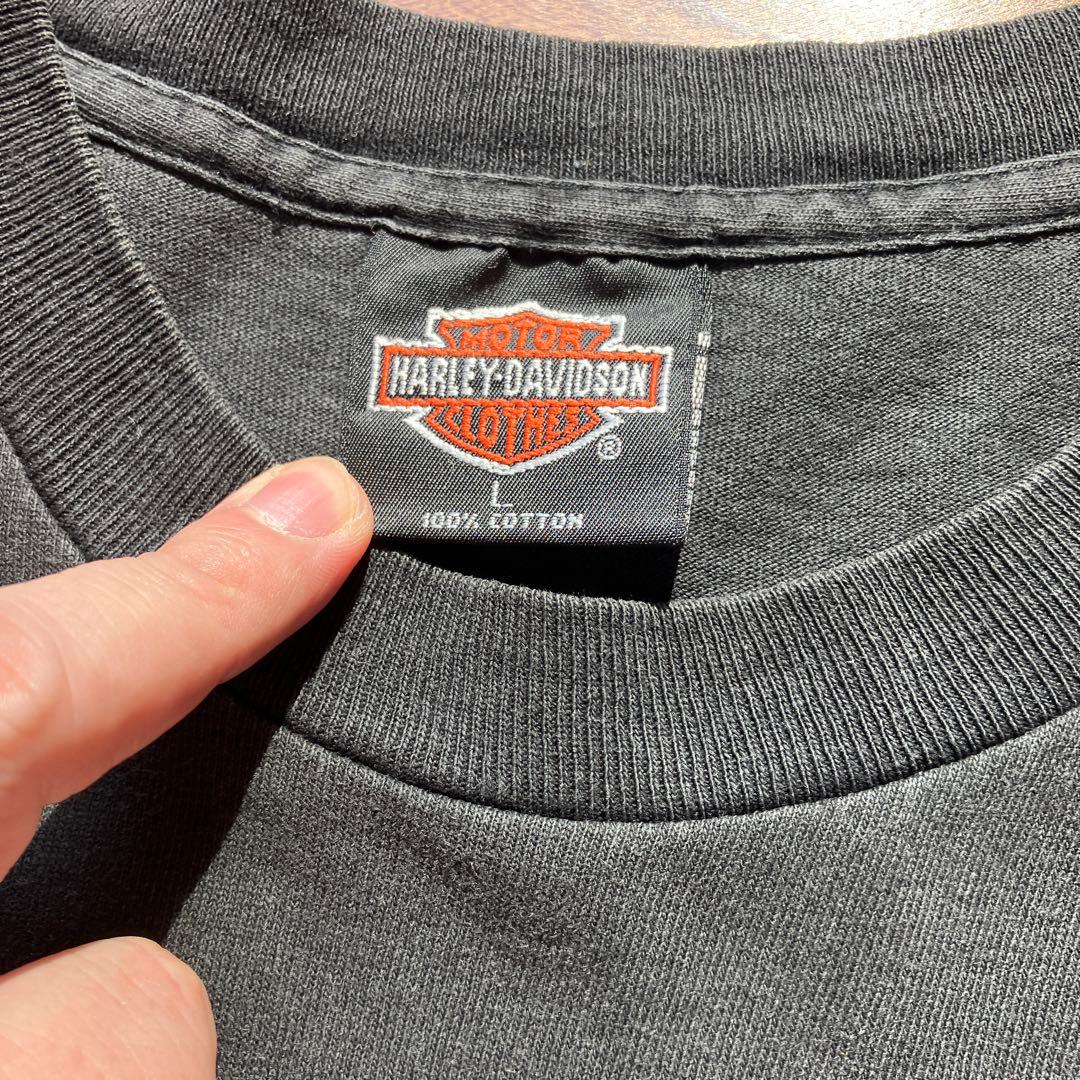 Harley-Davidson 90s usa製　tシャツ
