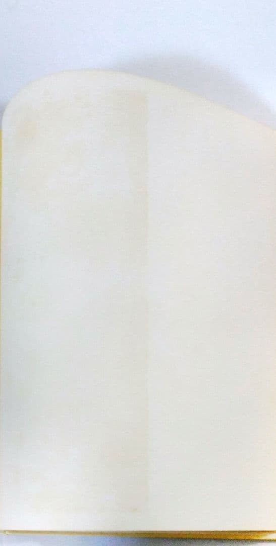 名画の技法―ジョットからホックニーまで―