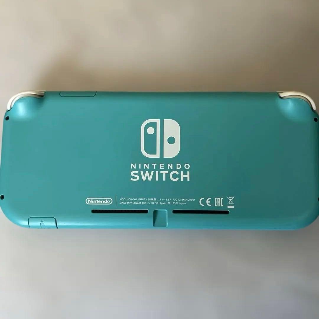 Switch light 本体