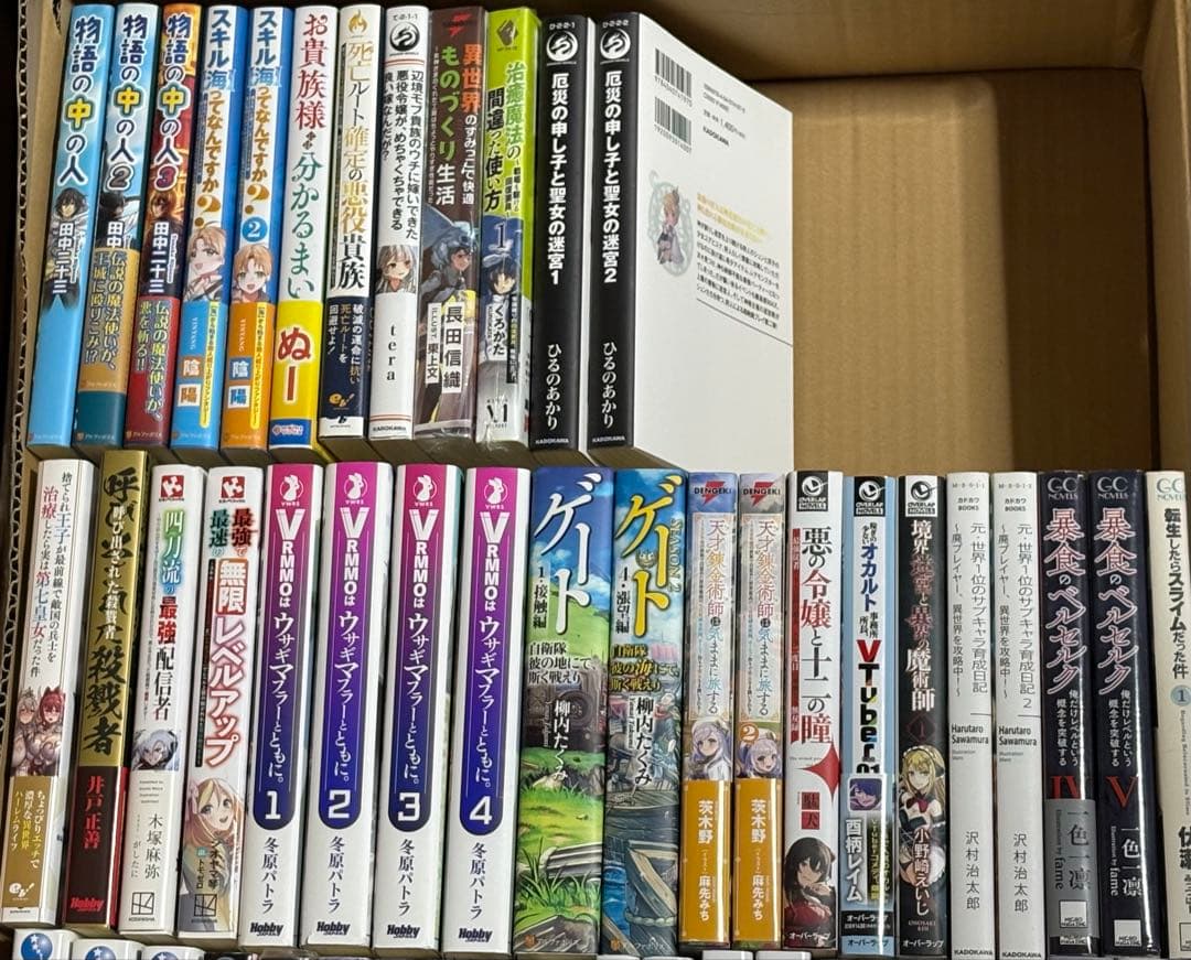 ライトノベルまとめ売り50冊ぐらい