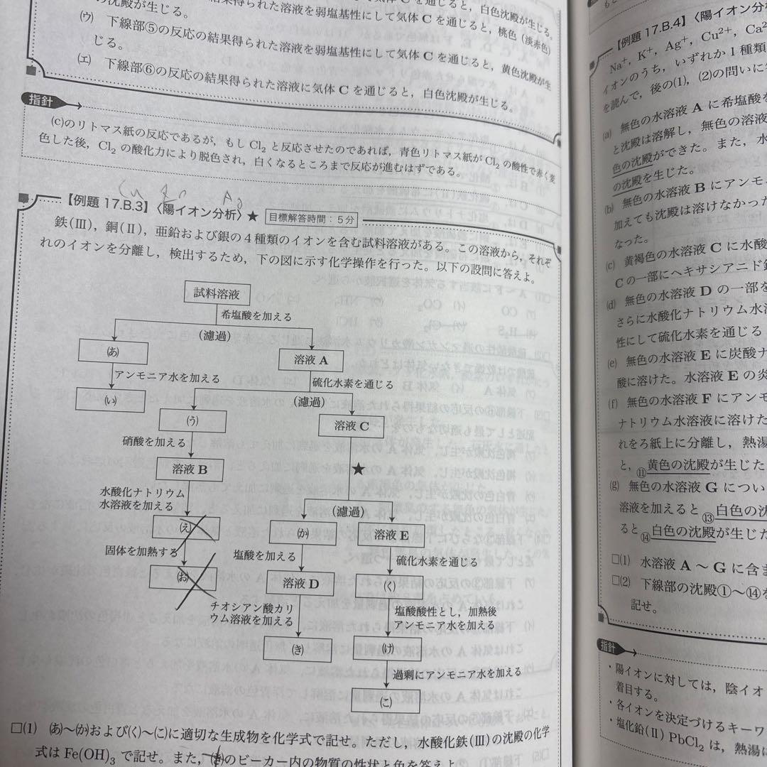 【2024年度版】鉄緑会　高3化学　入試化学確認シリーズ 多少の書き込みあり