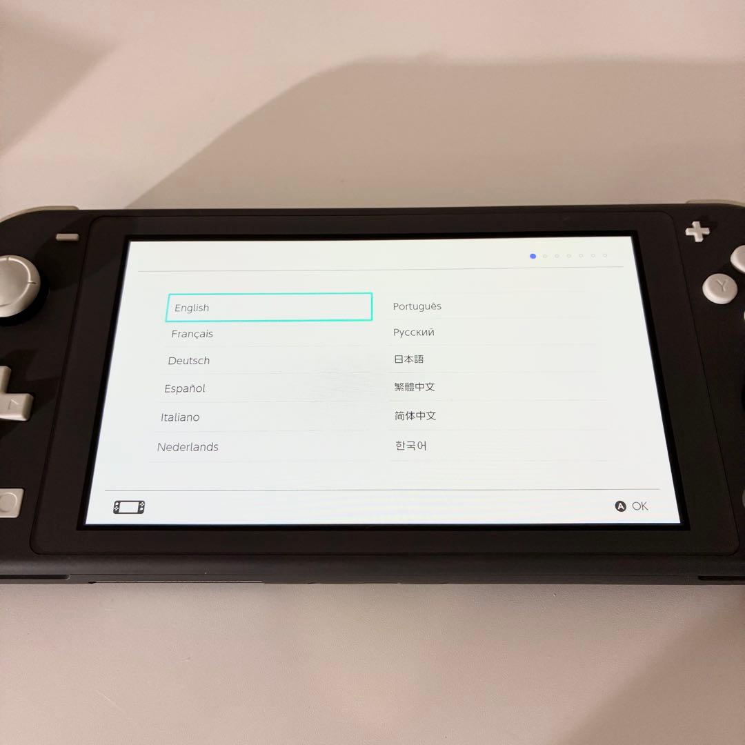 Nintendo Switch Lite グレー（動作確認済み・初期化済み）