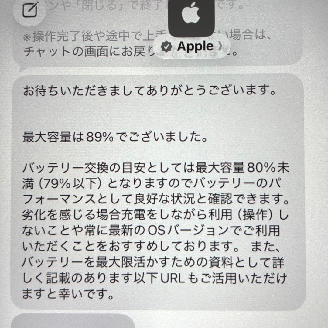【最大容量89%】iPad Pro 11インチ 第1世代