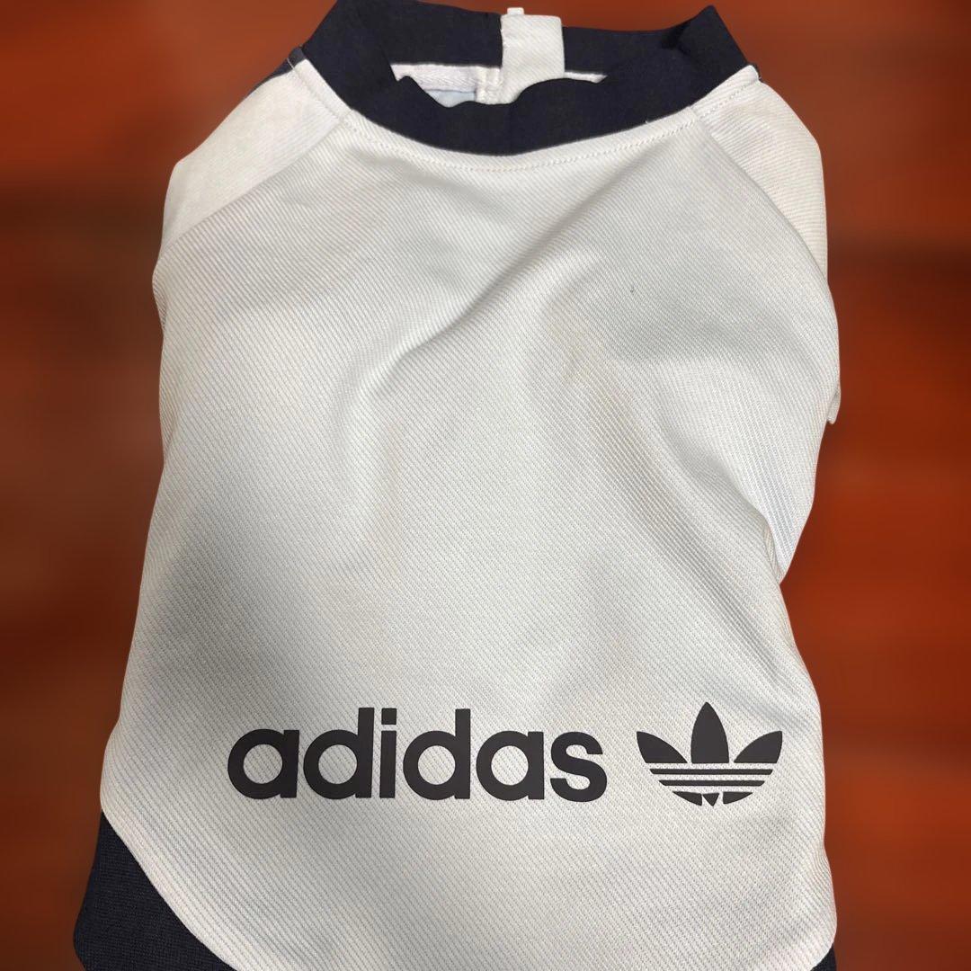 adidas 水色 犬 ジップアップウェア　Ｌ
