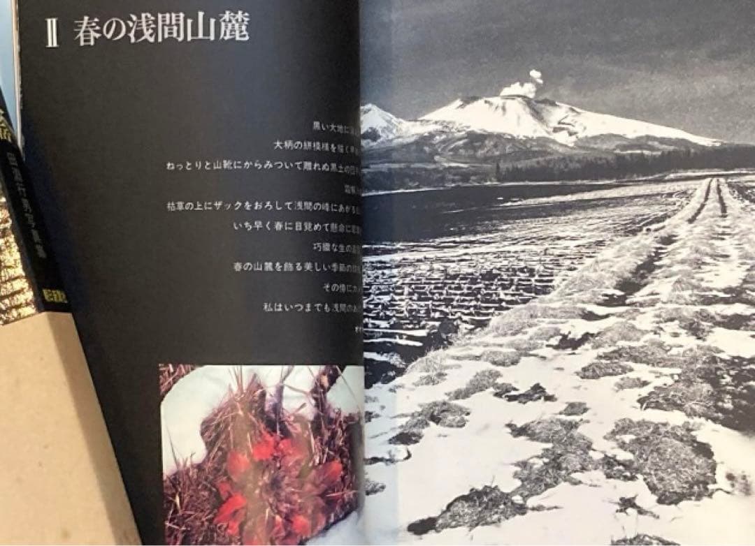 【初版本】田淵行男 浅間・八ヶ岳 麓からの山 写真集 山岳写真家 ハードカバー