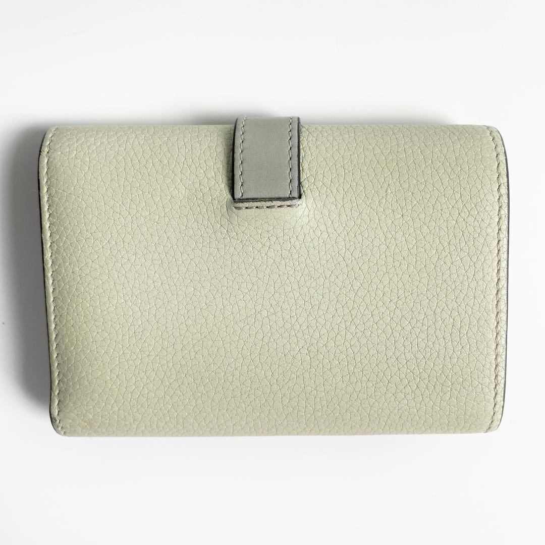 LOEWE ロエベ バーティカルウォレット スモール マーブルグリーン