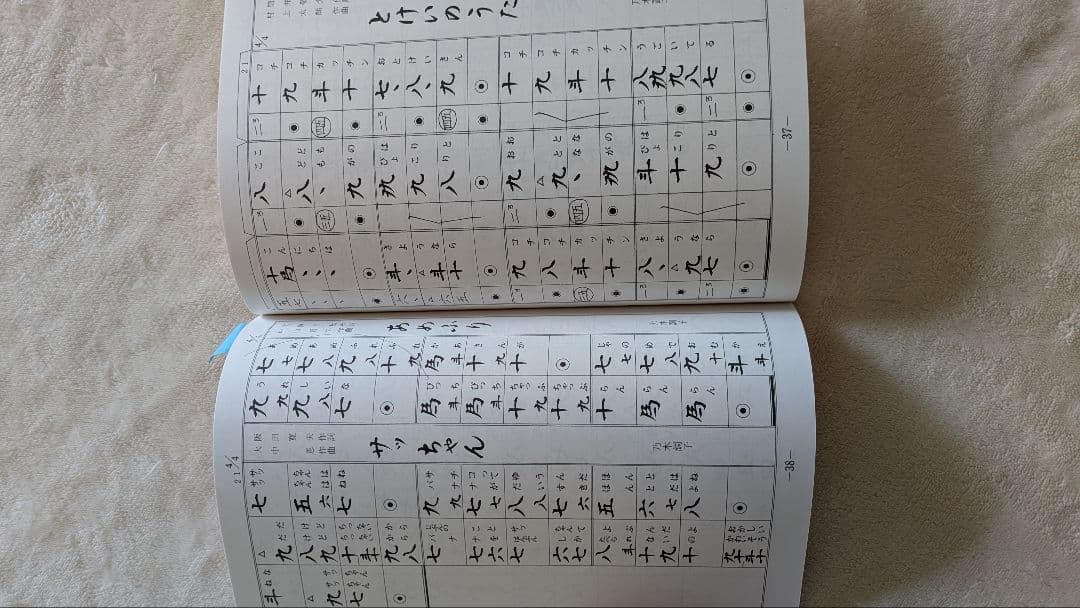 伝統的な琴 13弦