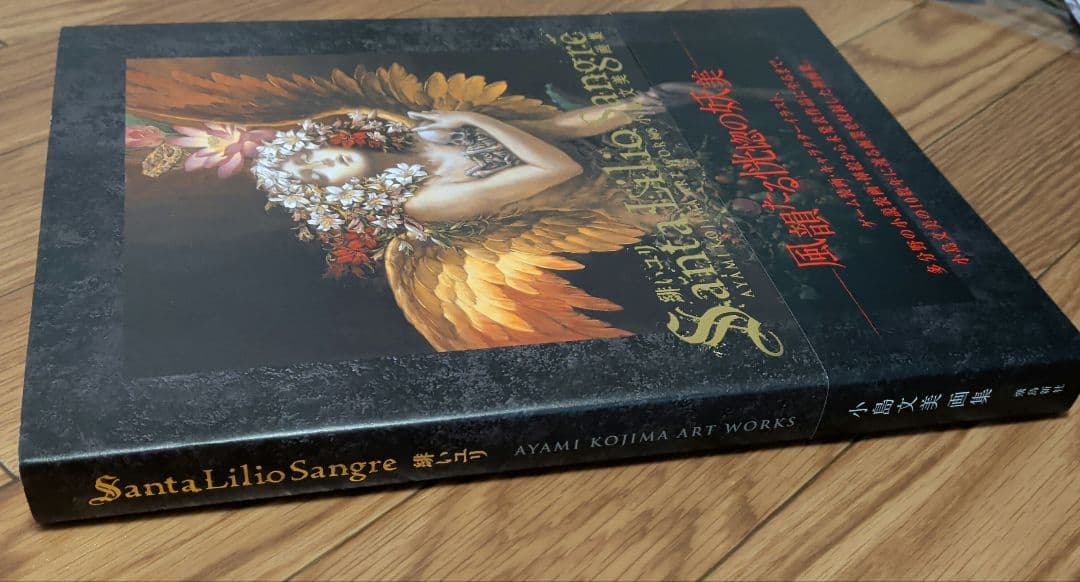 小島文美画集　緋いユリ　Santa Lilio Sangre