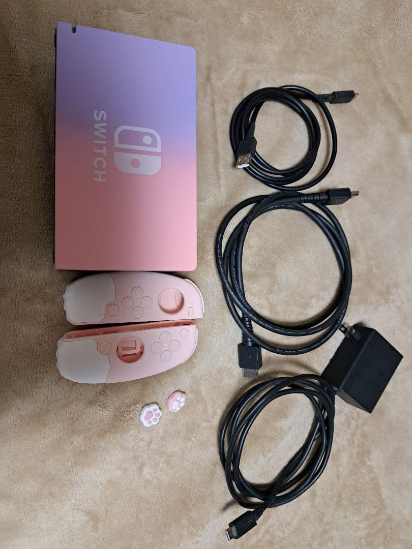 【動作確認済み】Nintendo Switch 本体 (SDカードなし)
