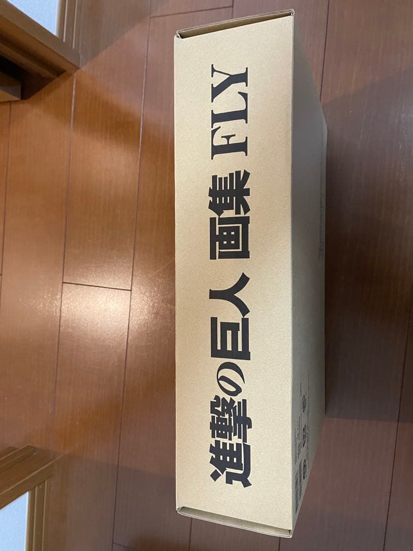 在庫わずか【新品】進撃の巨人 画集 FLY(全特典付き)i