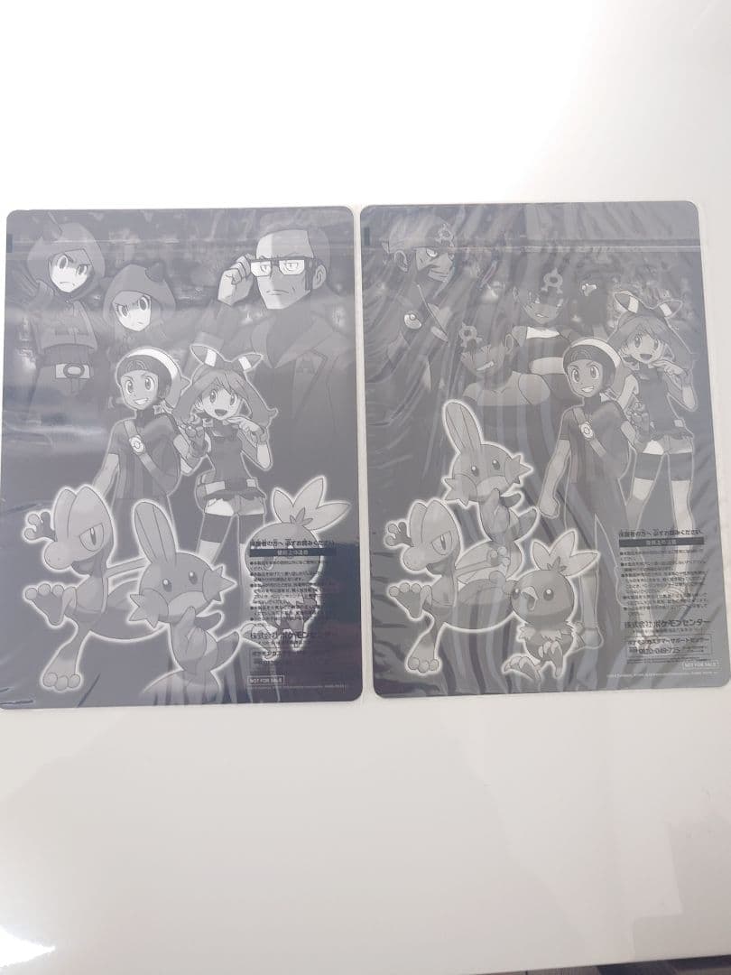 ポケモンオメガルビー・アルファサファイア　New Hoenn ART Book