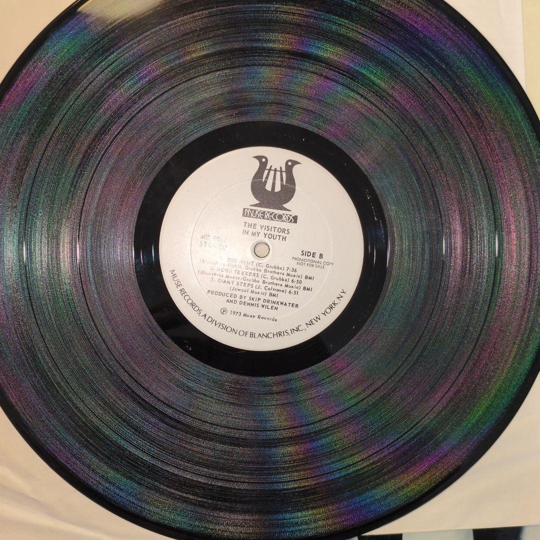 洋楽 The Visitors / In My Youth LP