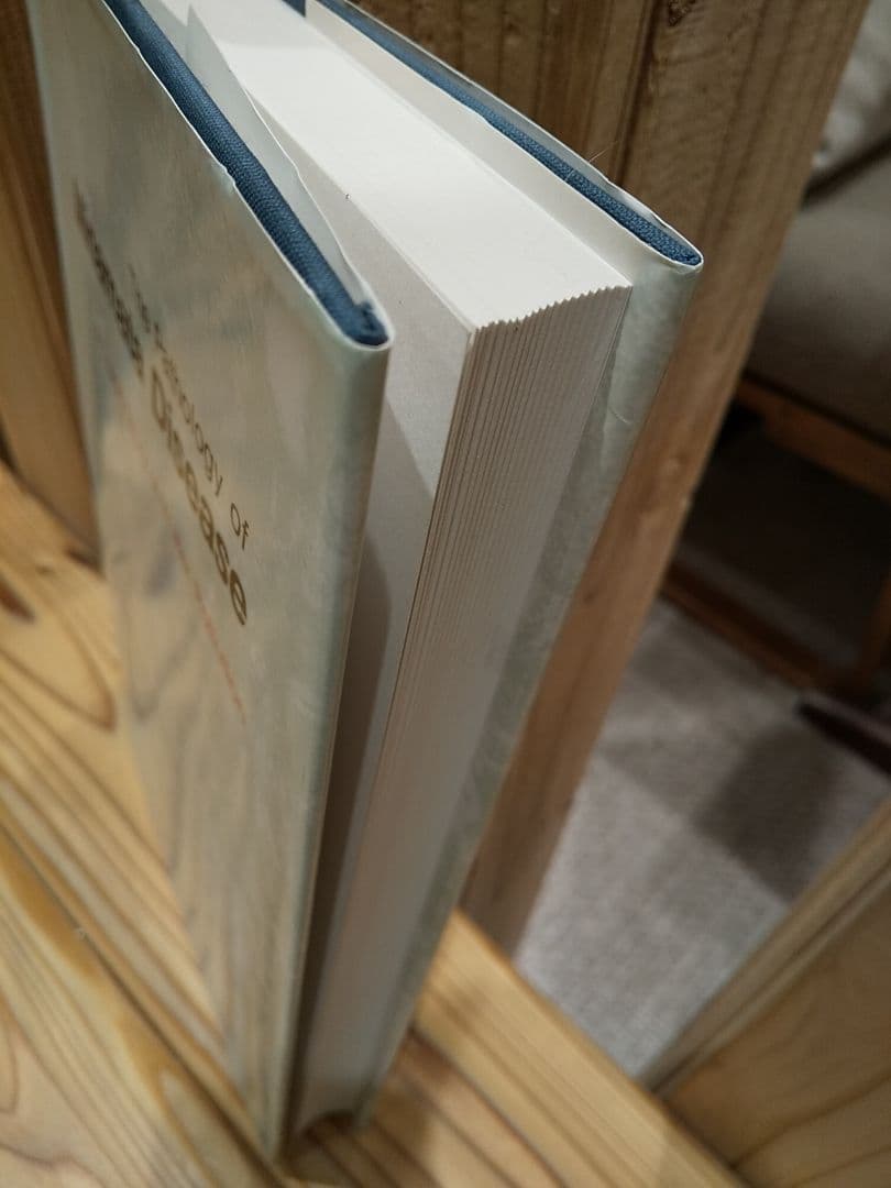 〈洋書〉水俣病の病態―水質汚染の悲劇／武内忠男