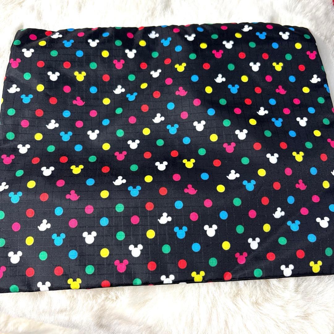 も*ぃ様 LESPORTSAC レスポ×ディズニー　30周年　ボストンバッグ　シ