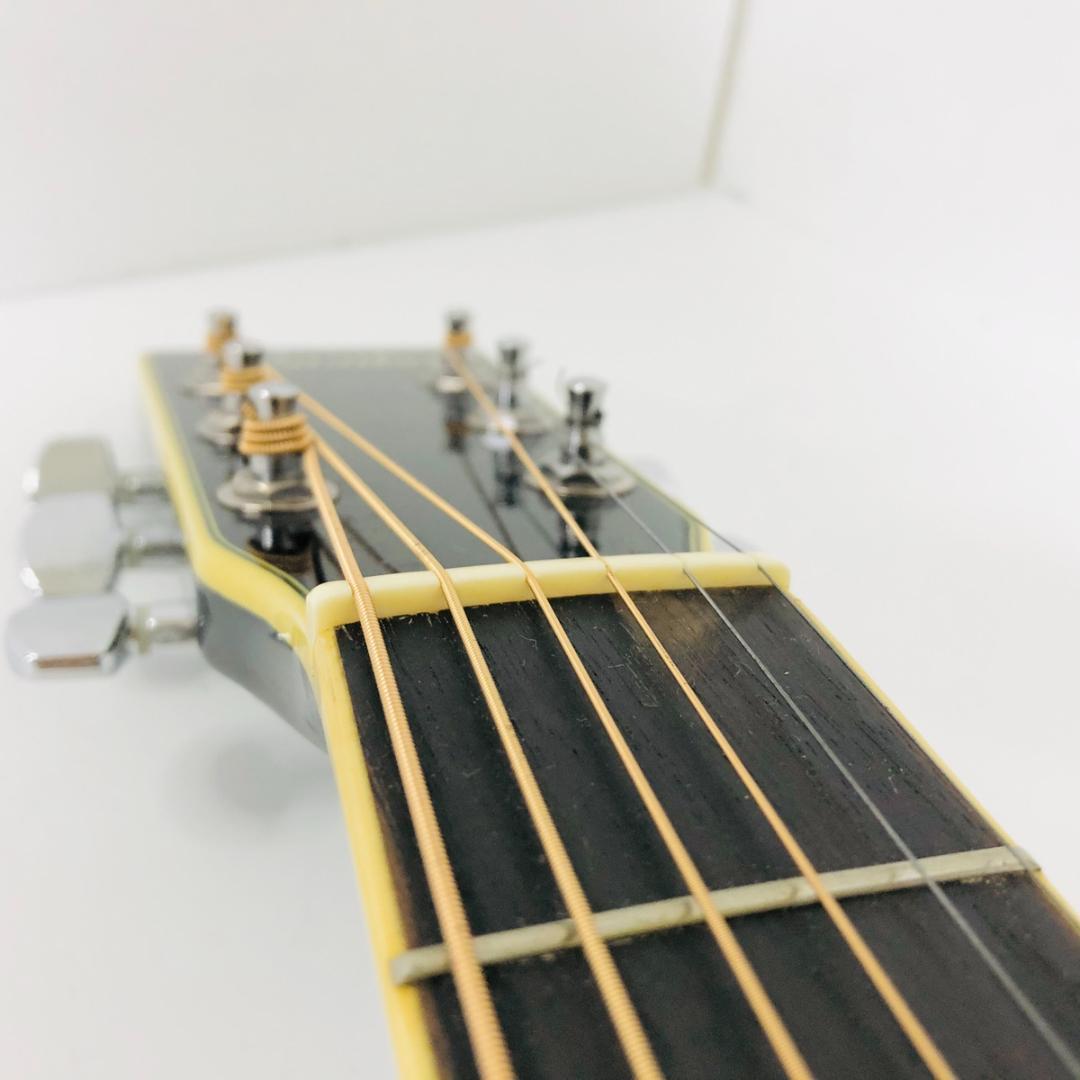 島村楽器 Lumber ランバー LF-2/BLS ソフトケース付