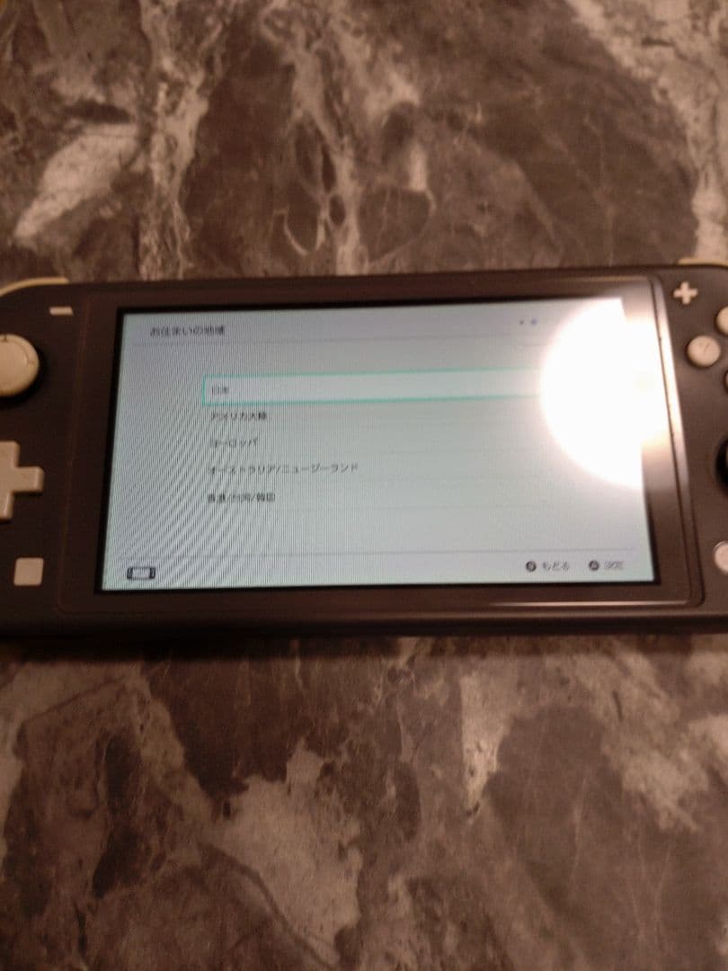 S*D様 スイッチライト『ジャンク品』