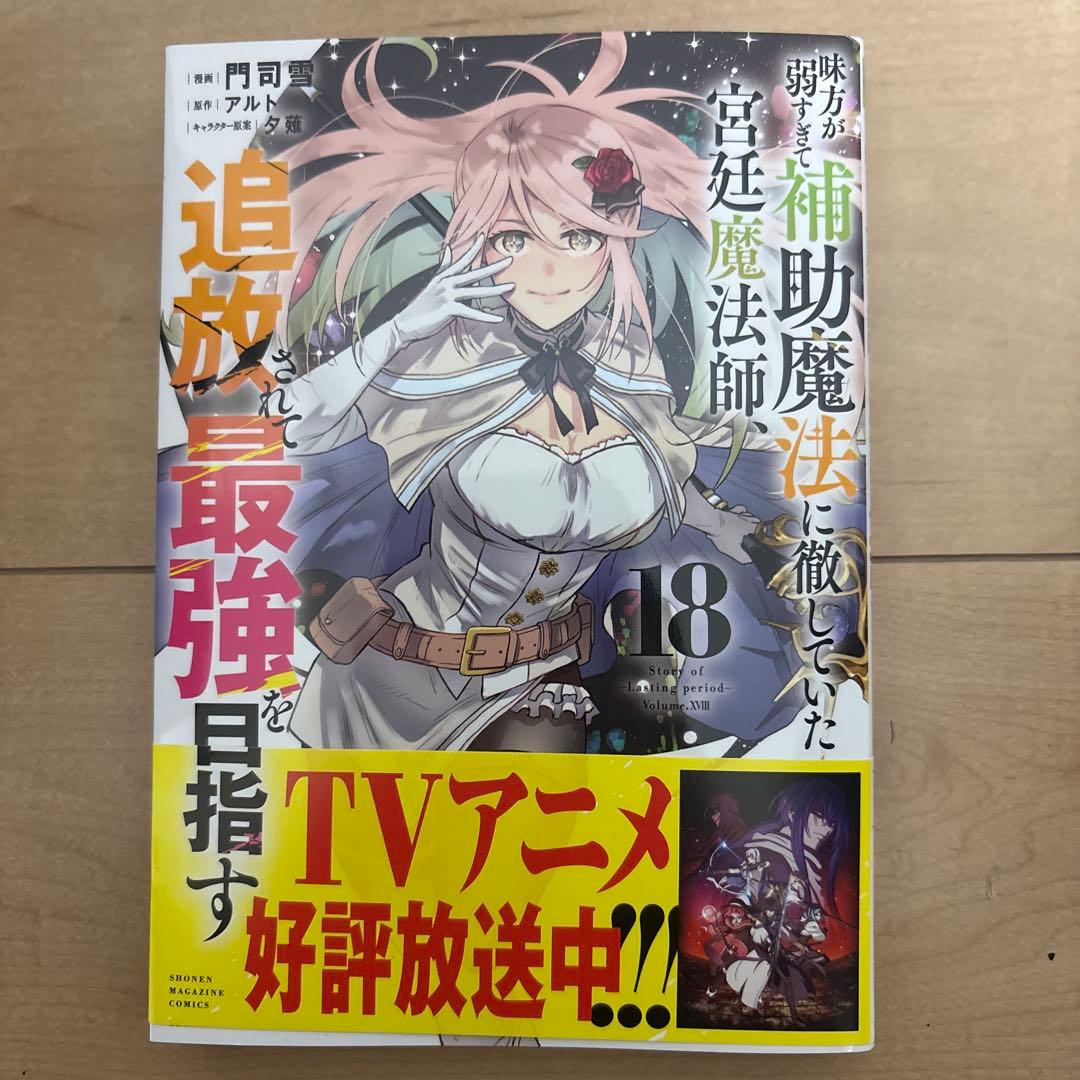 味方が弱すぎて、補助魔法に徹していた宮廷魔法師、追放されて最強を目指す 1〜18