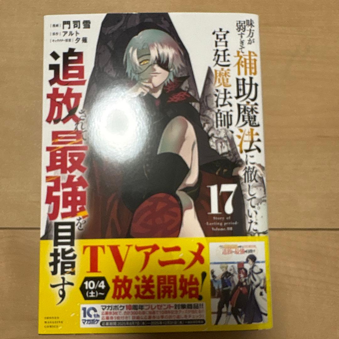 味方が弱すぎて、補助魔法に徹していた宮廷魔法師、追放されて最強を目指す 1〜18