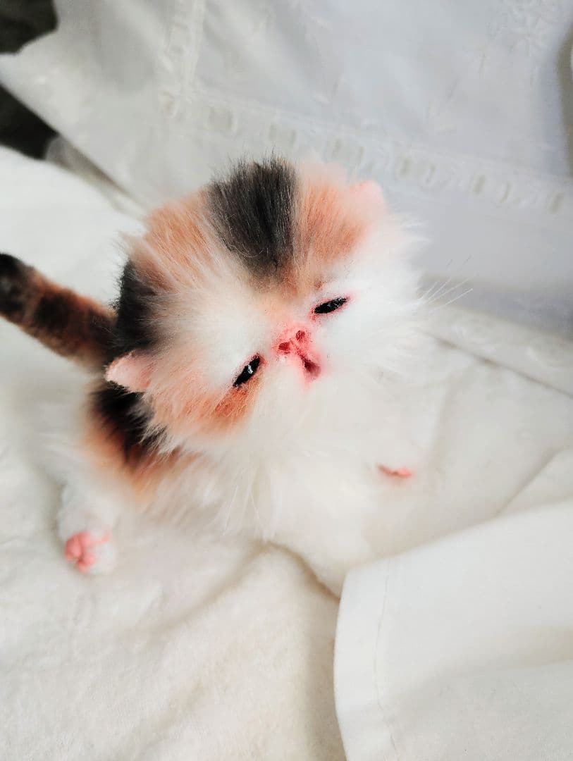 さんごやま様❤オーダー♡ほにゃほにゃ〜キャリコ子猫ちゃん♡アートドールぬいぐるみ