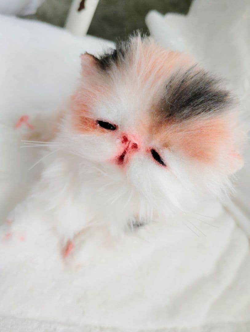 さんごやま様❤オーダー♡ほにゃほにゃ〜キャリコ子猫ちゃん♡アートドールぬいぐるみ