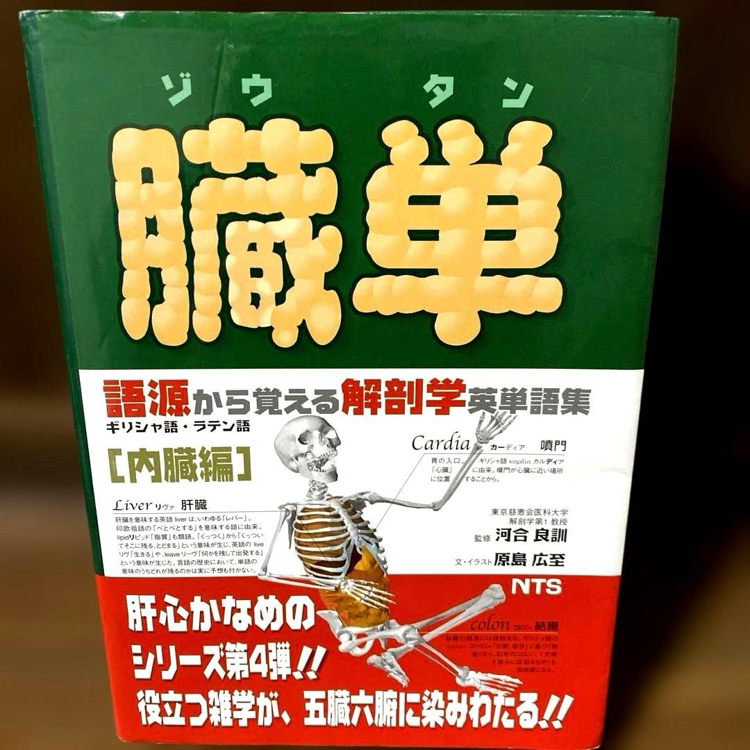 解剖学単語シリーズ 4冊セット　 肉単　骨単　臓単　脳単