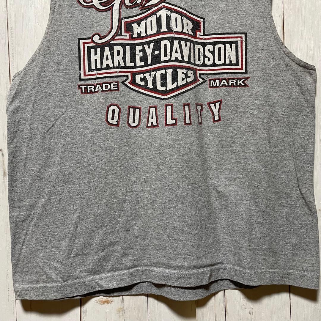ハーレーダビッドソン ビッグロゴ バイク フォト ノースリーブ Tシャツ L