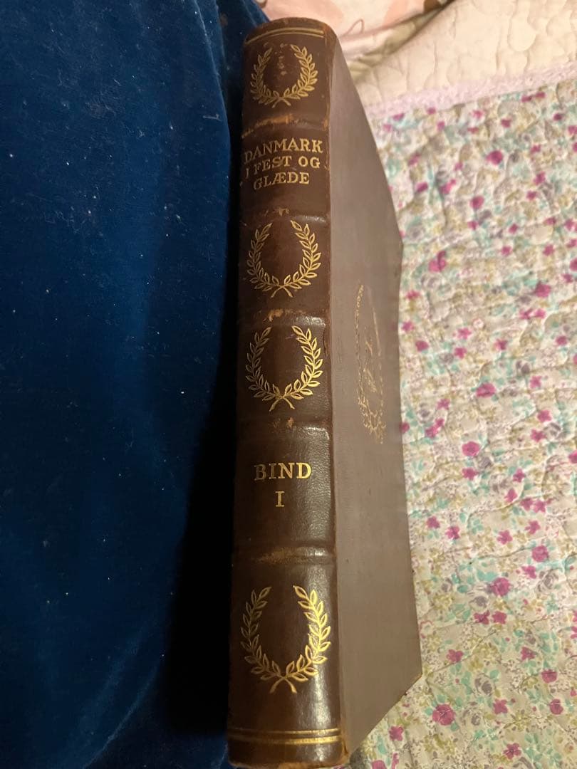 メ5361 書籍「Danmark i Fest og Glæde」