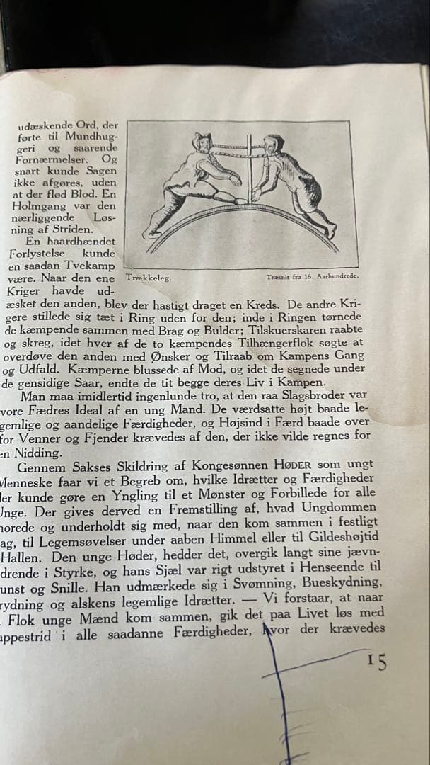メ5361 書籍「Danmark i Fest og Glæde」