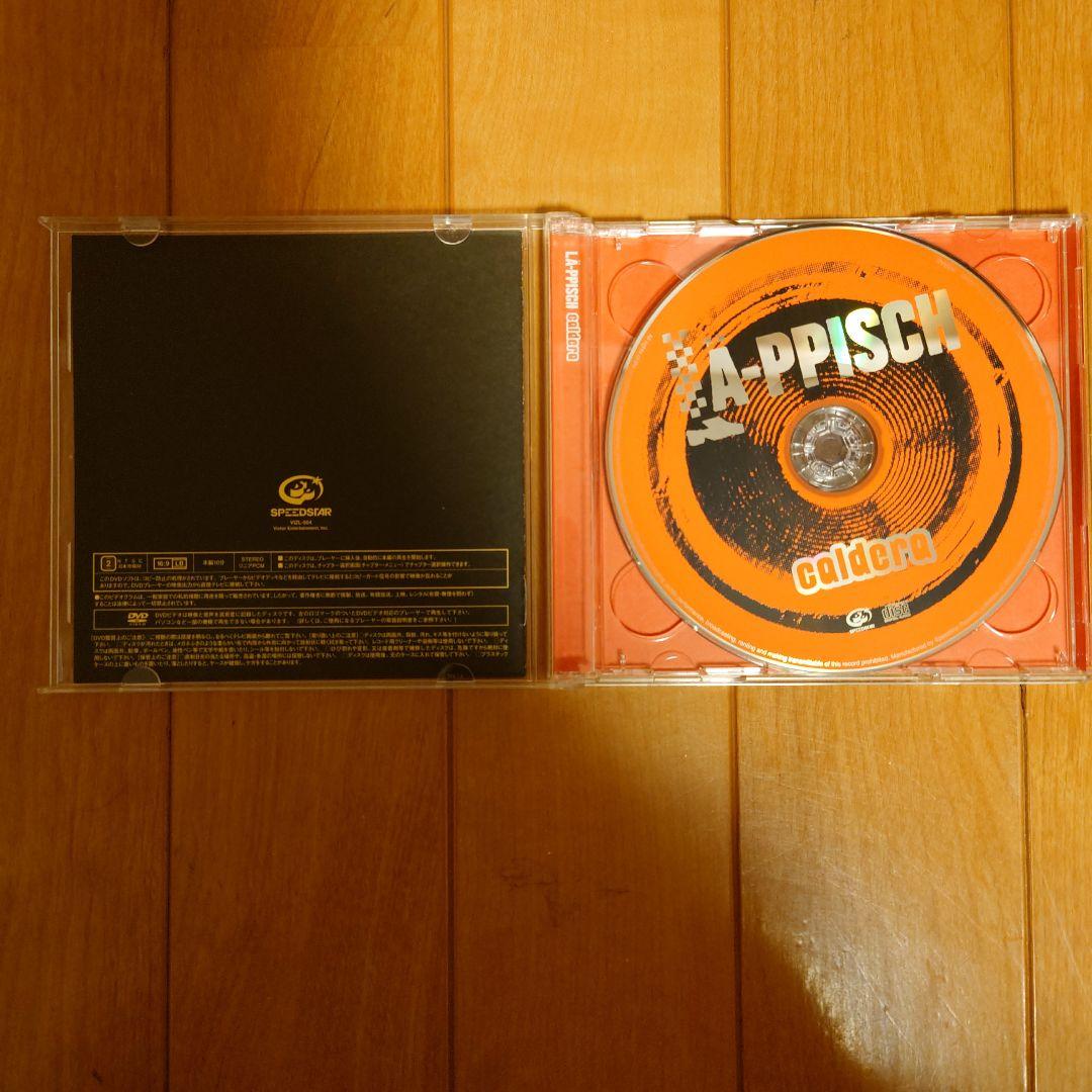 レピッシュ / caldera　初回DVD付　ワダツミの木