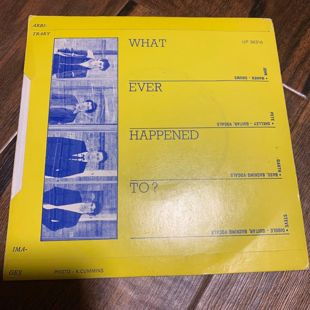 buzzcocks ORGASM ADDICT レコード punk パンク天国