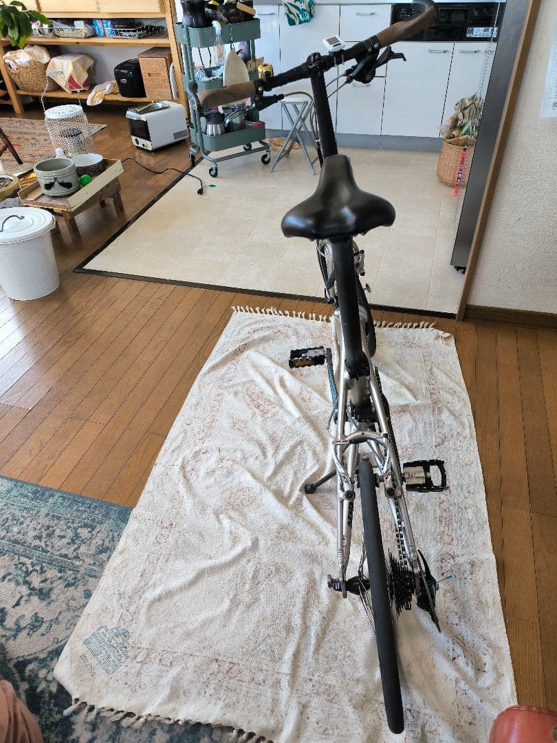 tern verge n8 シャンパンゴールド 改造有