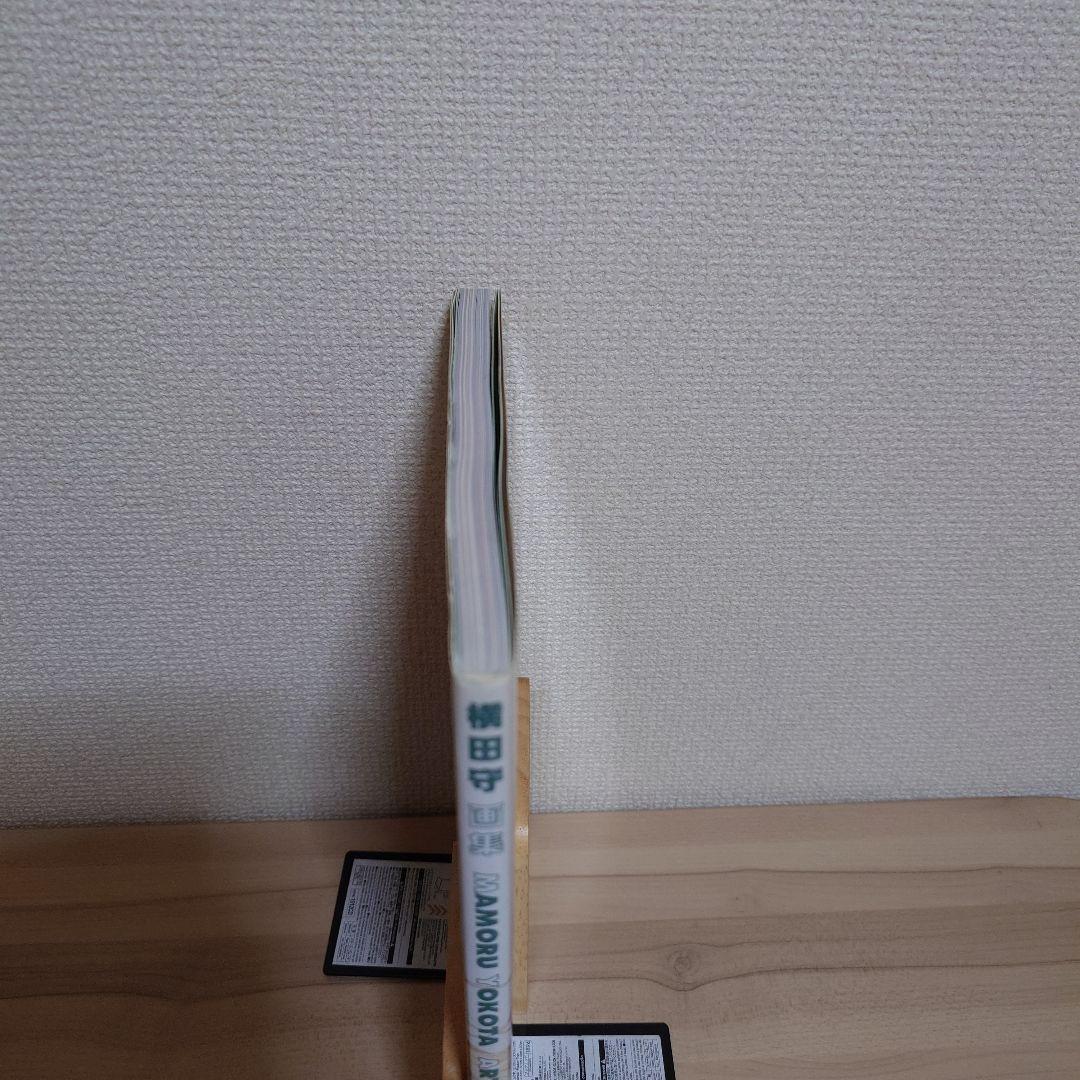 横田守画集